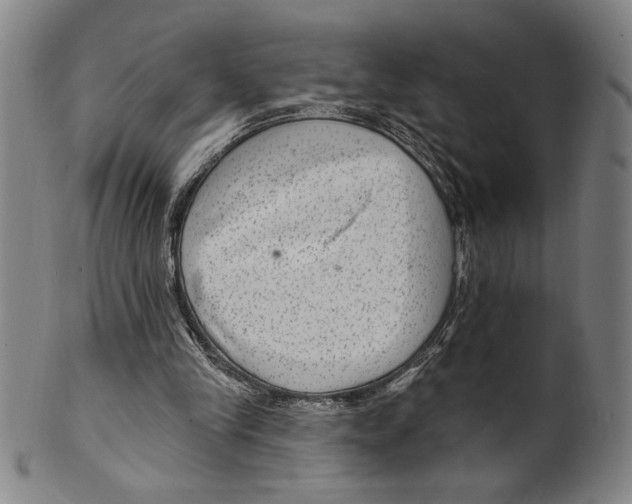 X0000099480245200806061252