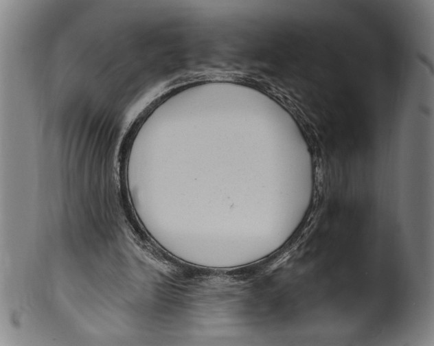 X0000099480246200806061252