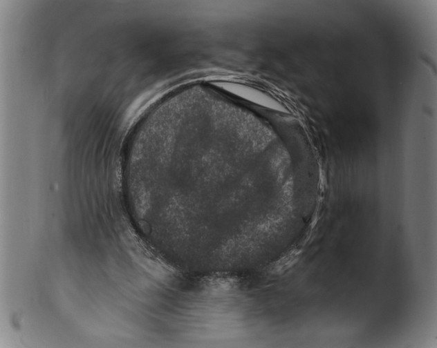 X0000099480247200806061252