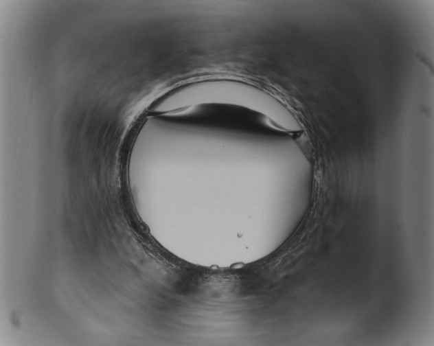 X0000099480248200806061252