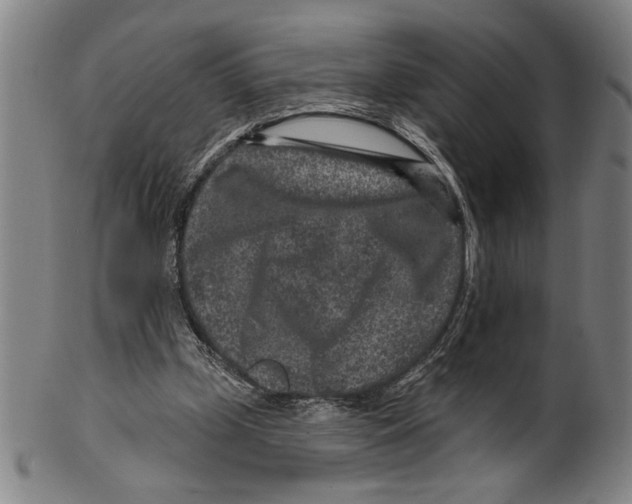 X0000099480249200806061252