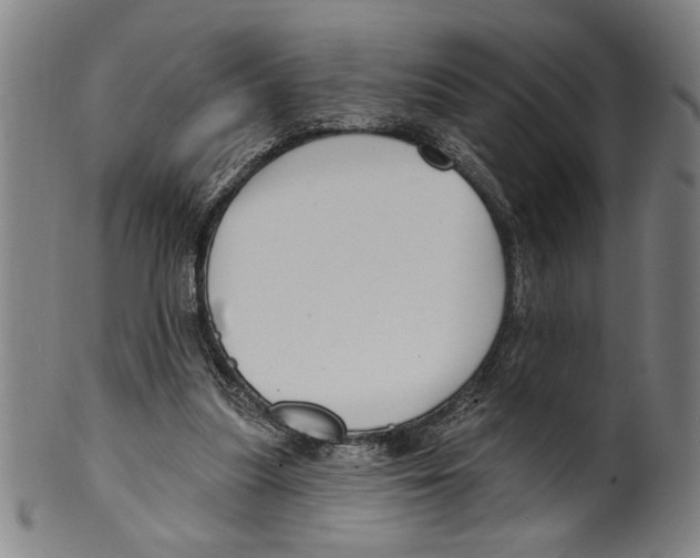 X0000099480251200806061252