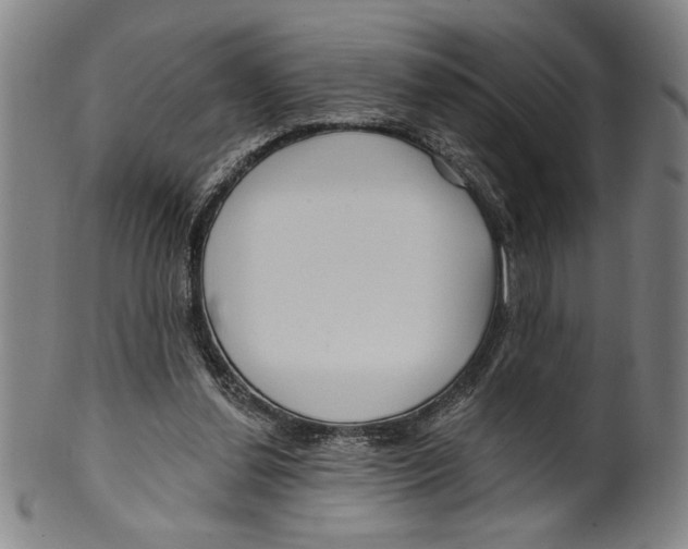 X0000099480252200806061252