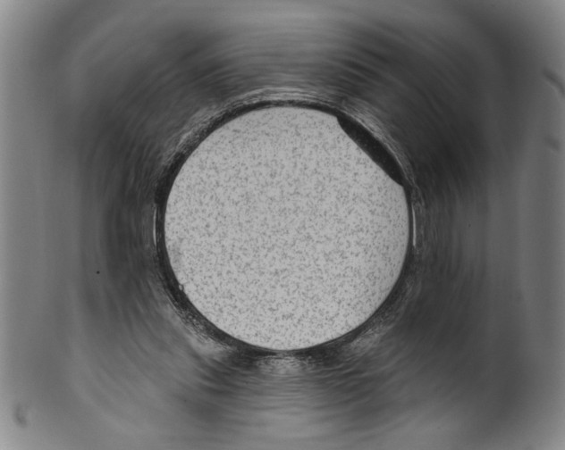 X0000099480253200806061252