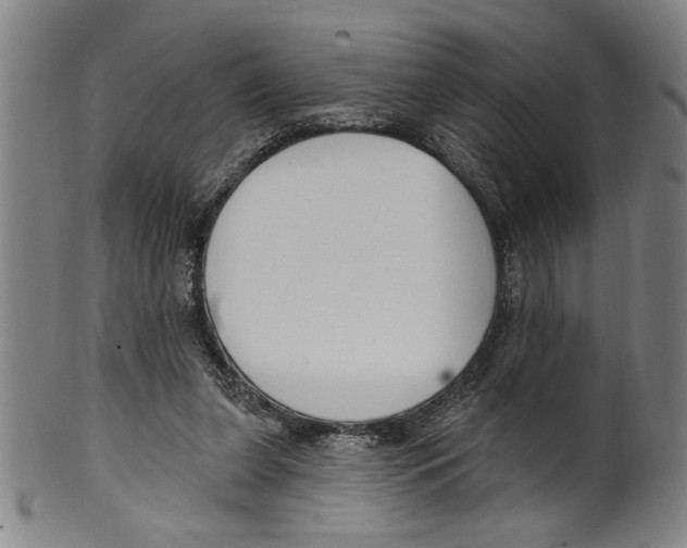 X0000099480255200806061252