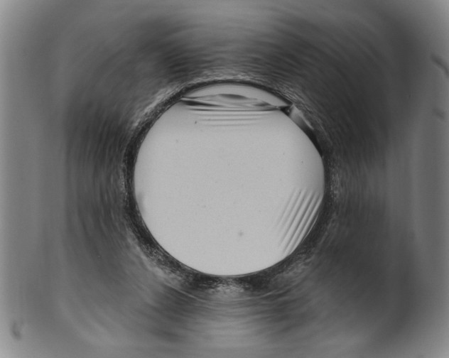 X0000099480256200806061252