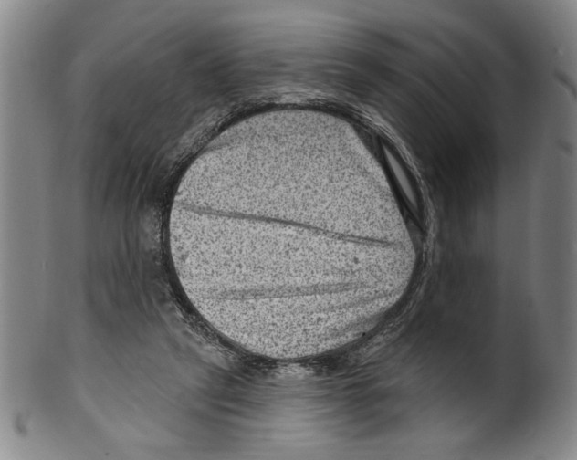 X0000099480257200806061252