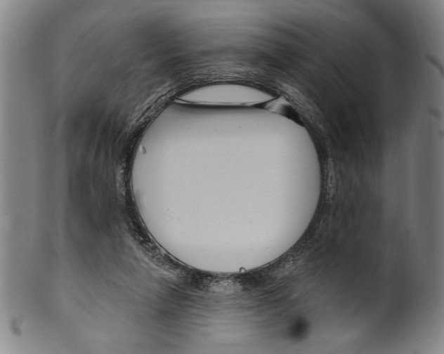 X0000099480258200806061252