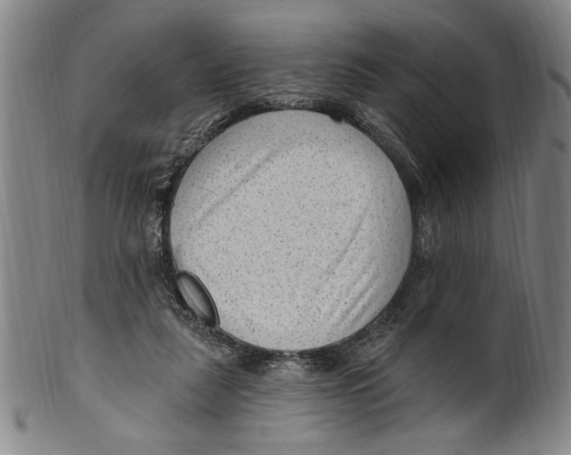 X0000099480259200806061252