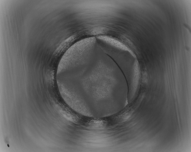 X0000099480260200806061252
