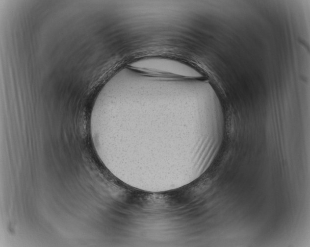 X0000099480261200806061252