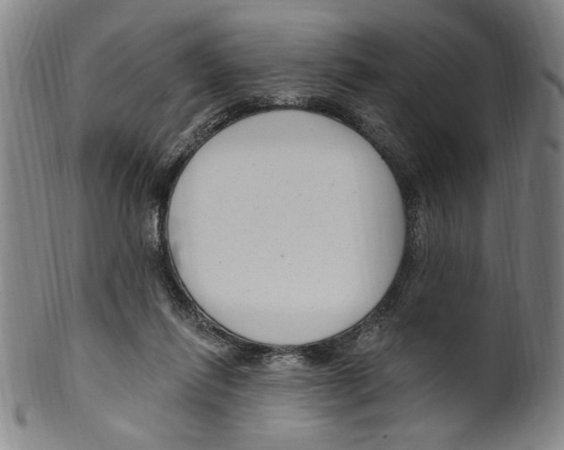 X0000099480262200806061252