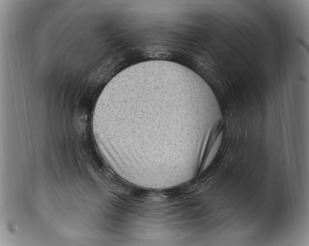 X0000099480263200806061252