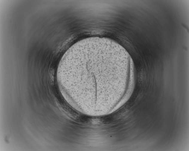 X0000099480264200806061252