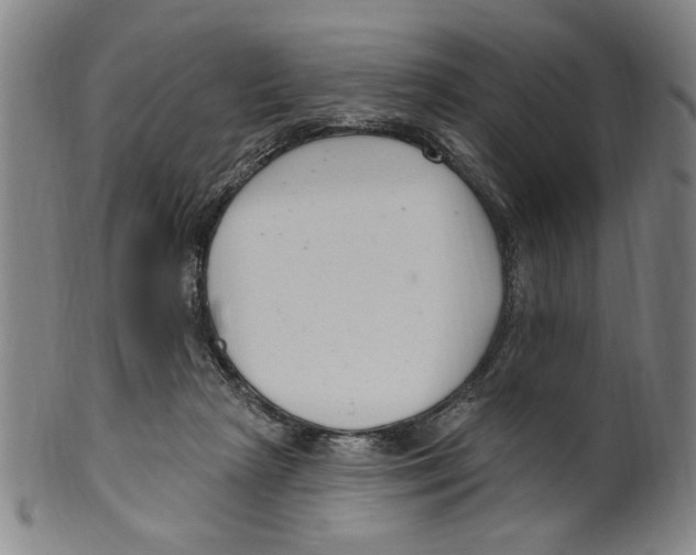 X0000099480265200806061252