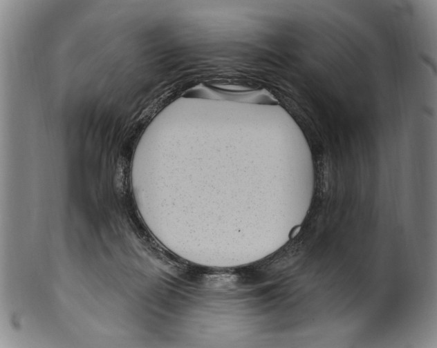 X0000099480266200806061252