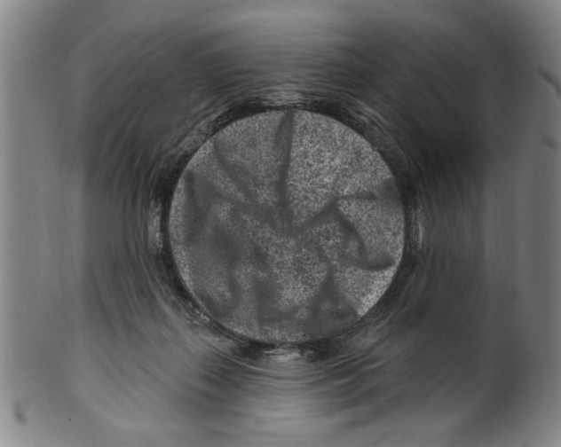 X0000099480267200806061252