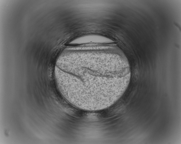 X0000099480268200806061252