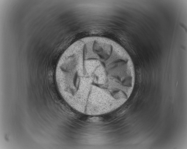 X0000099480269200806061252