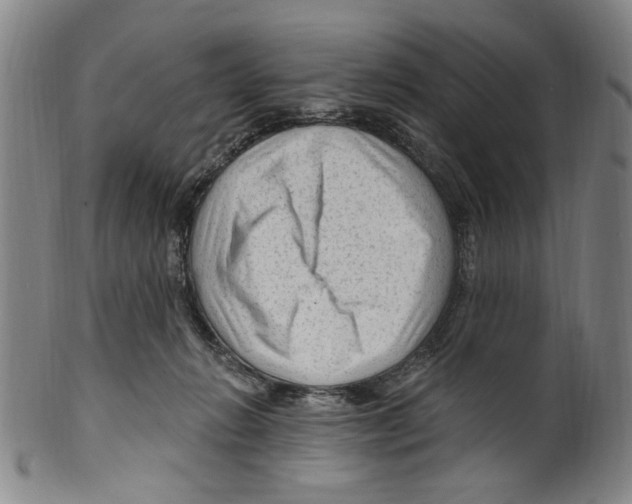 X0000099480270200806061252