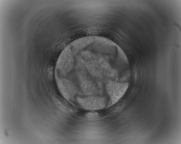 X0000099480271200806061252