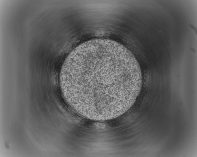 X0000099480272200806061252
