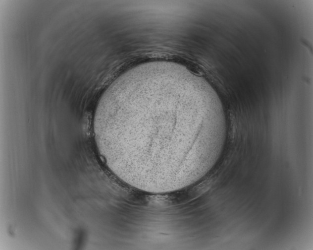 X0000099480273200806061252