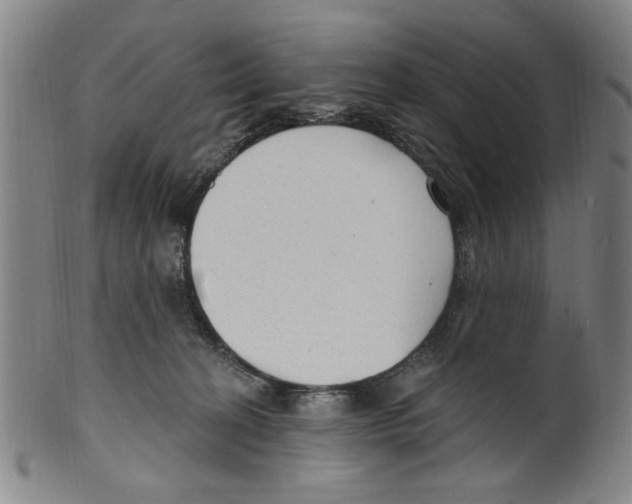 X0000099480274200806061252