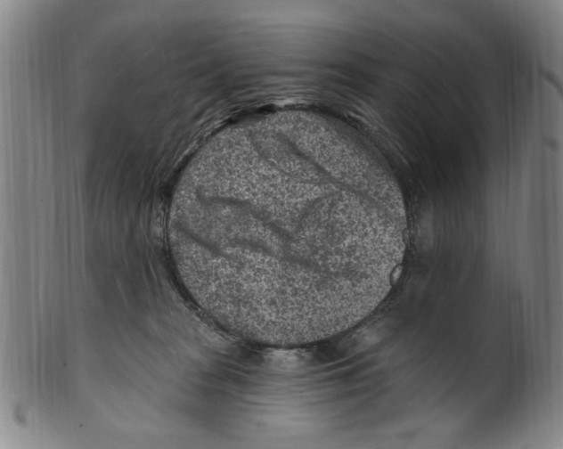 X0000099480277200806061252