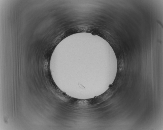 X0000099480279200806061252