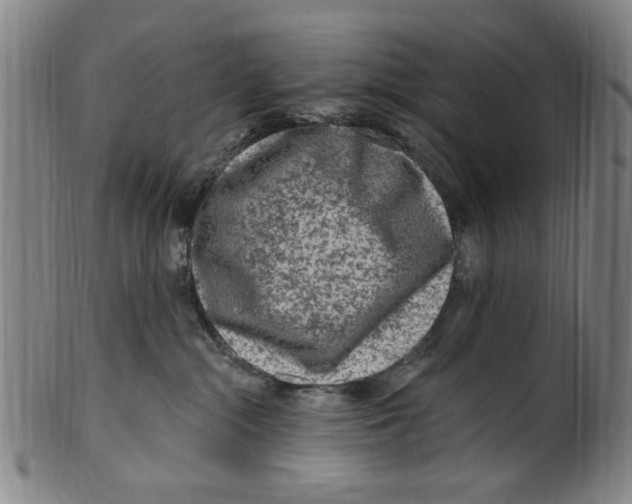 X0000099480284200806061253