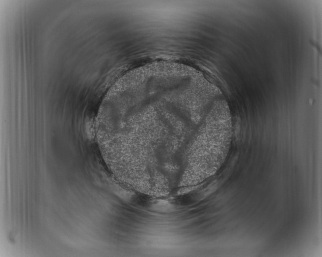 X0000099480285200806061253