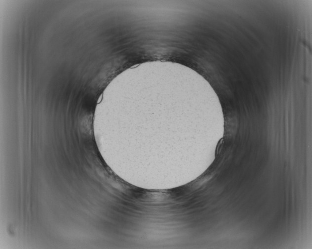 X0000099480286200806061253