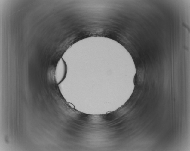 X0000099480287200806061253