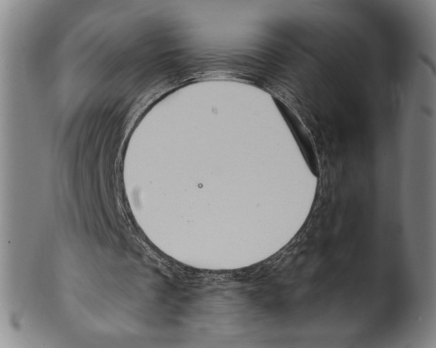 X0000099480289200806061252