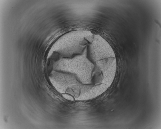 X0000099480290200806061252