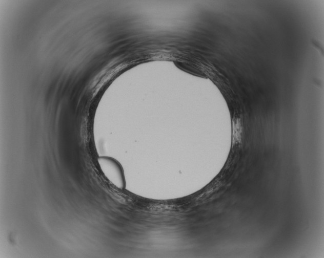 X0000099480291200806061252