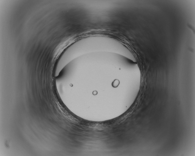 X0000099480293200806061252