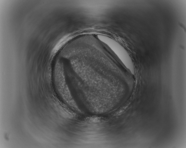 X0000099480295200806061252