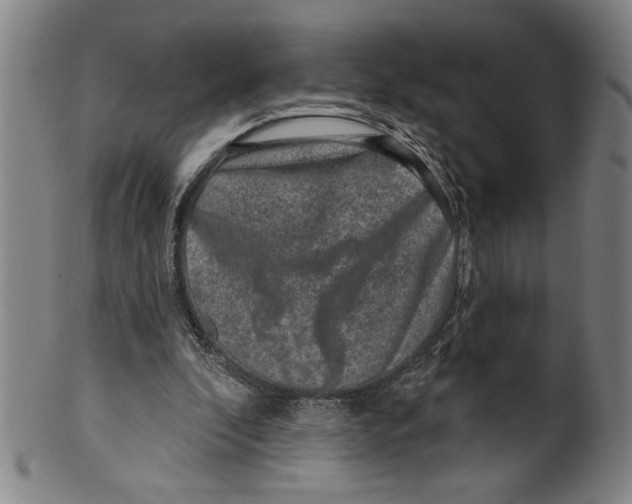 X0000099480296200806061252
