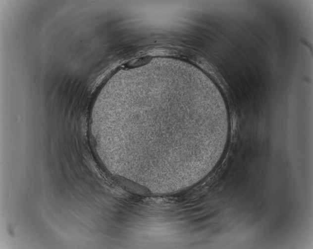 X0000099480297200806061252