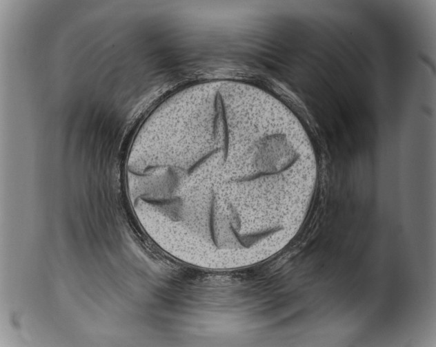 X0000099480298200806061252