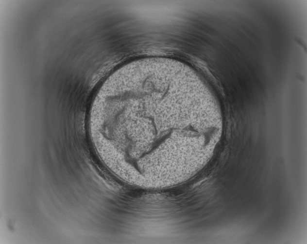 X0000099480299200806061252