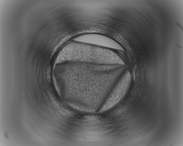 X0000099480300200806061252