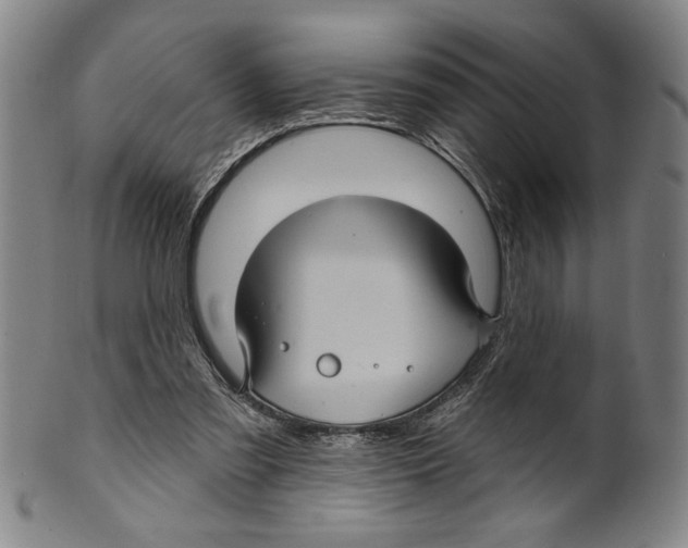X0000099480301200806061252