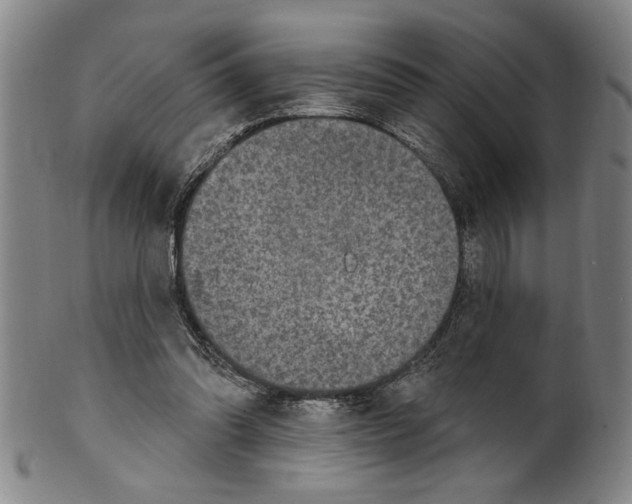 X0000099480302200806061252