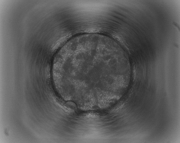 X0000099480303200806061252
