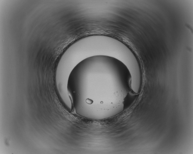 X0000099480305200806061252