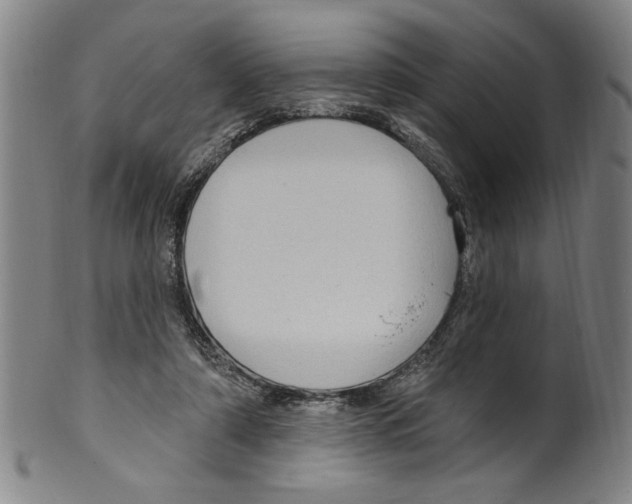 X0000099480306200806061252