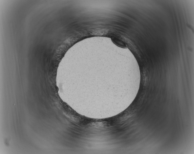 X0000099480307200806061252